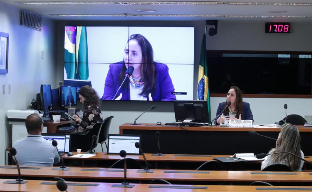 Subcomissão do Sistema Nacional de Educação debate constitucionalidade e autonomia dos entes federativos