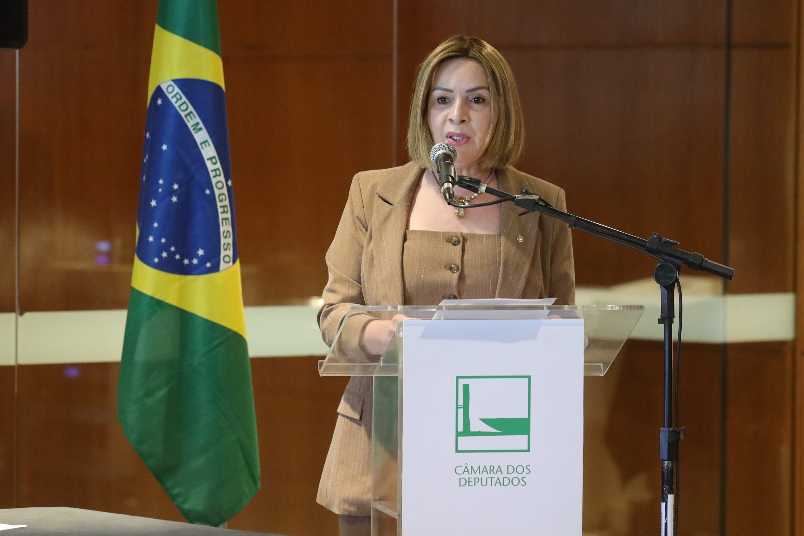 Socorro Neri leva debate sobre exame de proficiência em Medicina à primeira sessão do ano da Comissão de Educação